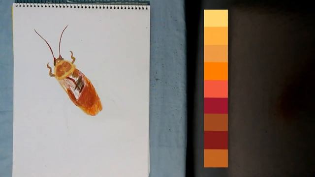 cómo dibujar a una CUCARACHA REALISTA paso a paso!!/ dibujando con toto смотреть онлайн