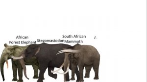 Elephants and Mammoths Size Comparison