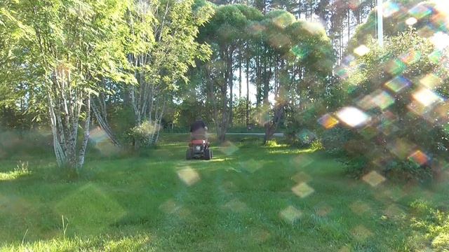 MTD  Minirider 76 SDE Koe Ajo