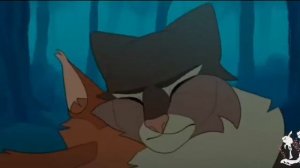 °☆Коты воители°клип°Поболело и прошло..☆°