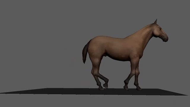 Horse 3D Animation (Blocking) смотреть онлайн