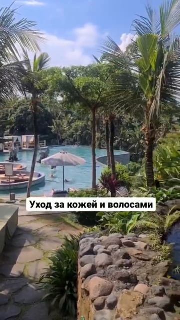 что взять с собой в отпуск? смотреть онлайн