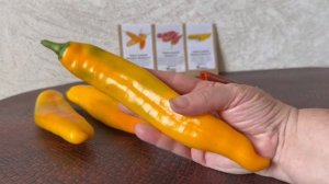 Перец Палермо F1. Какие перчины получились в сезоне 2023 г.