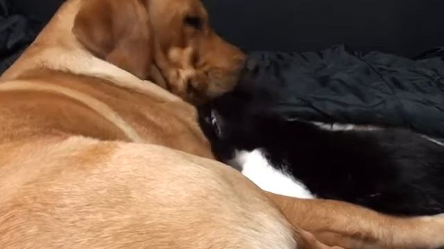 Фил и Кассиопея смотреть онлайн