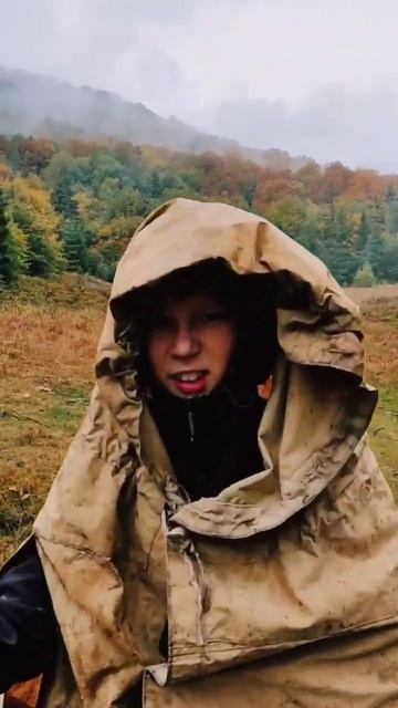 Дождливый лес смотреть онлайн