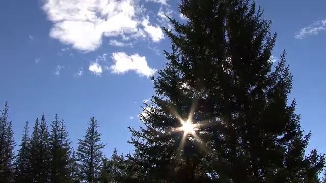 altaj08 5920 1 смотреть онлайн