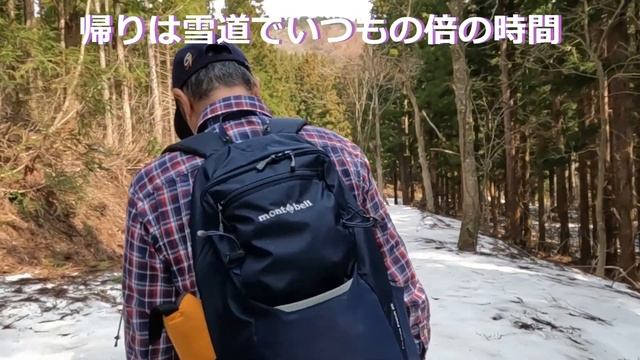 黒石市雪山カタクリの群生地　2024.04.14