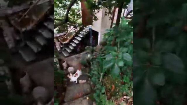 Домик 60 м2 с видом на Ахун смотреть онлайн