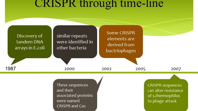 CRISPR impact on medical genetic 2 смотреть онлайн