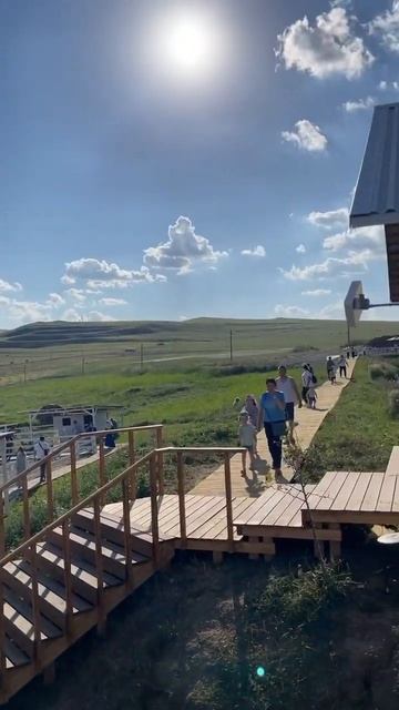 Добро пожаловать в наш Альпака Парк ❤️ смотреть онлайн