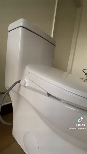 Alpha UX Pearl ⭐⭐⭐⭐⭐ | BidetKing.com смотреть онлайн