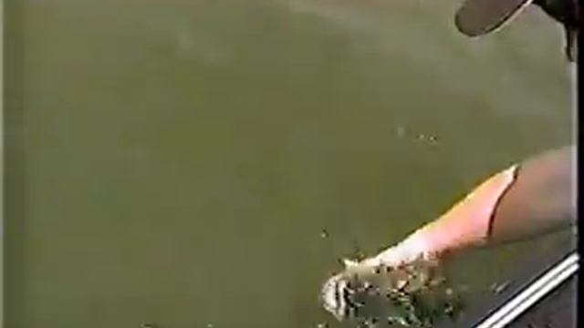 River Fishing Tips And Tactics For The Upper Chesapeake Bay
