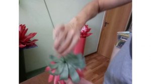 Панно Астра,часть2