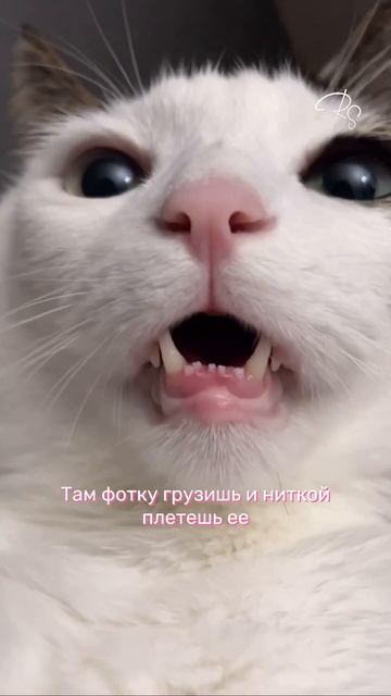 Все, что хочет творческая девушка на Новый год – набор для плетения картины нитью от RingString 🫶🏼 смотреть онлайн