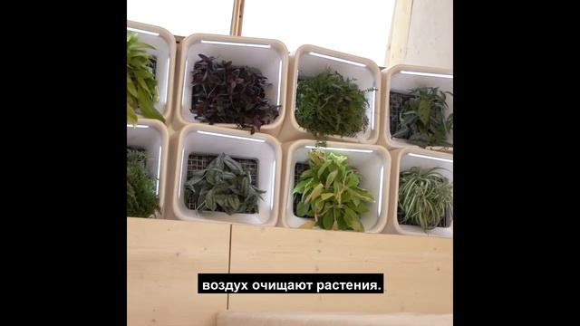 Крошечный домик - экологичное и доступное жилье смотреть онлайн