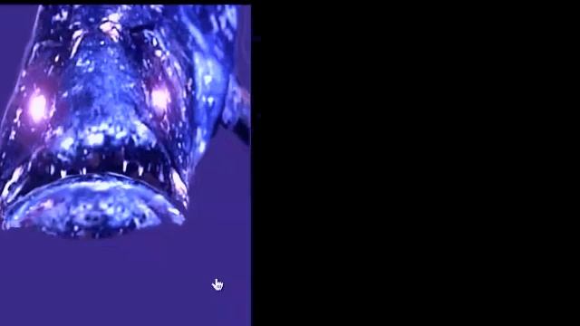 Coelacanth My Coelacanth смотреть онлайн