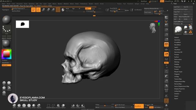Eyes of Lamia - Human Skull Study / Zbrush Sculpt смотреть онлайн