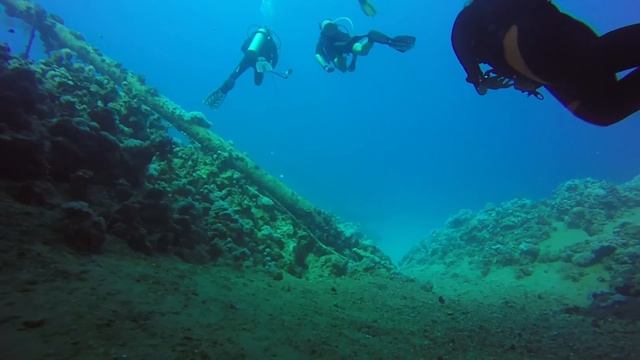 Diving in Aqaba 2016 смотреть онлайн