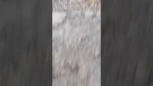 Спасатель мяча