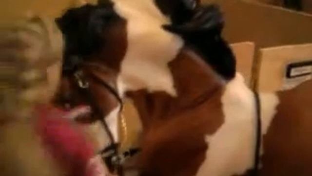 ✬ Новости КСК ✬ смотреть онлайн