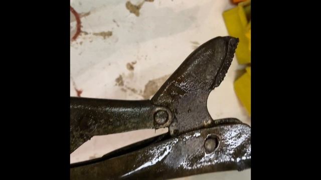 Mole Grip Restoration смотреть онлайн