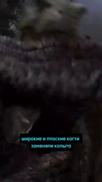 для чего динозавров нужны были когти? #динозавры #факты #интересныефакты #мирдинозавров #шортс смотреть онлайн