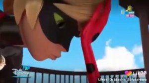 Леди БАГ И СУПЕР КОТ  ЦЕЛУЮТСЯ.