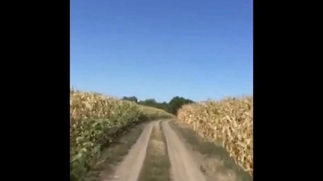 Полевая дорога Hd