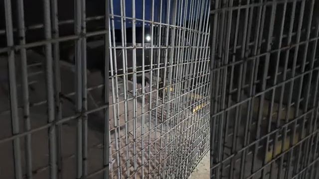 заливка бетона плита смотреть онлайн