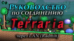 Руководство по соединению #158 Terraria через LAN (Radmin)