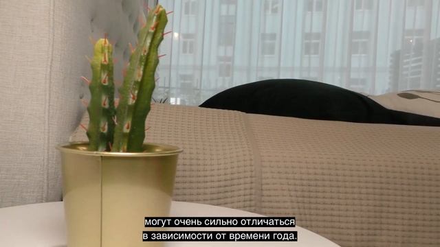 Поиск жилья и регистрация по месту жительства смотреть онлайн