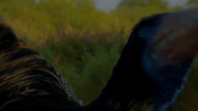 un Edit al Deinocheirus de prehistoric planet смотреть онлайн