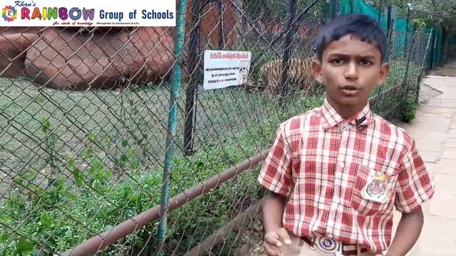 International Tiger's Day (2024) - By Mohith Sai