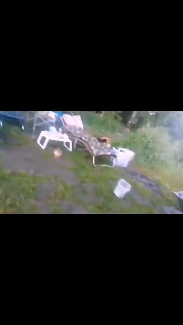 Едва фидер не утащил. #рыбалка #карп #сезон #carpfishing #fishing #звукиприроды #новости #природа смотреть онлайн