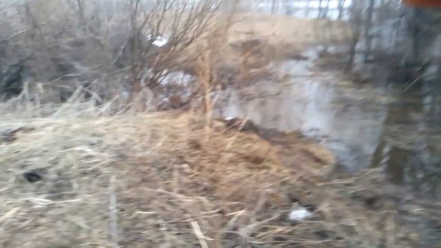 Водная деревенька 05.04.2024г смотреть онлайн