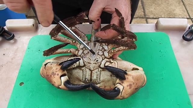 How to Humanely kill a crab before cooking. смотреть онлайн