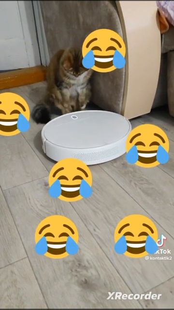 Матовый робот пылесос смотреть онлайн