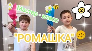 Мастер-класс "Ромашка" или как сделать цветы из синельной проволоки.