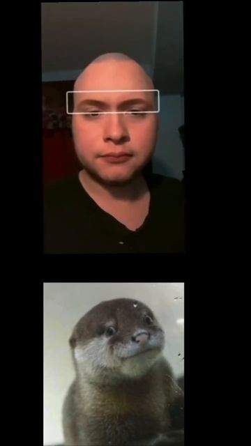 🔥『Hot face』😏 with chill otter #memes #shorts смотреть онлайн