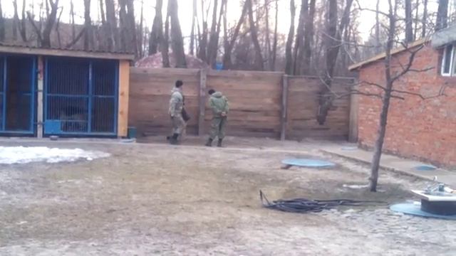4DOG ЗКС (защитно-караульная служба) 001 смотреть онлайн