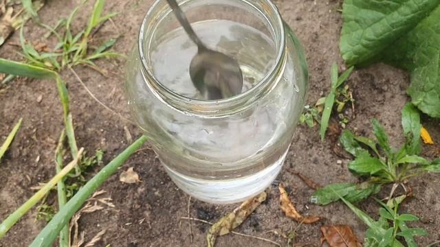 Копеечное аптечное средство 100% повысит урожай огурцов смотреть онлайн