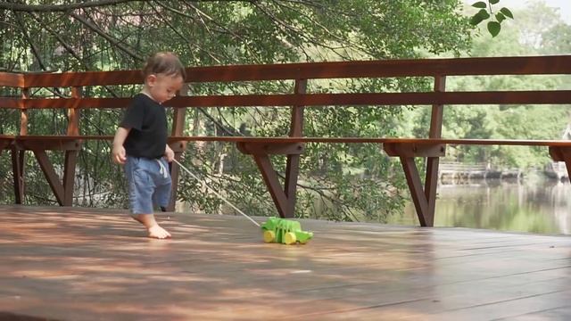 5105 Dancing Alligator VDO Plan Toys смотреть онлайн