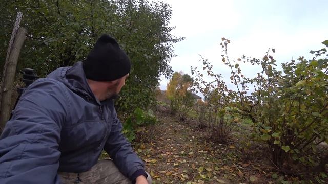 Життя в селі//Грядка Розума//Грядка для полуниці//Все буде Україна🇺🇦🇺🇦🇺🇦 смотреть онлайн