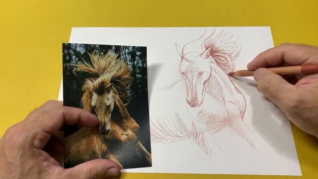 Passo a passo de DESENHO GESTUAL de um CAVALO смотреть онлайн