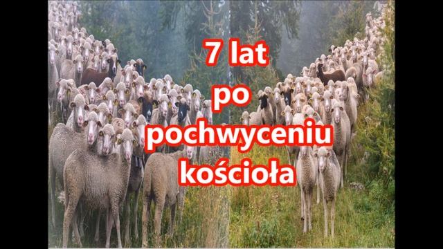 #4002531 Czego uczy mnie Biblia w Ewangelii wg Mateusza 25,31 o sądzie nad kozłami @chrzescijanie смотреть онлайн
