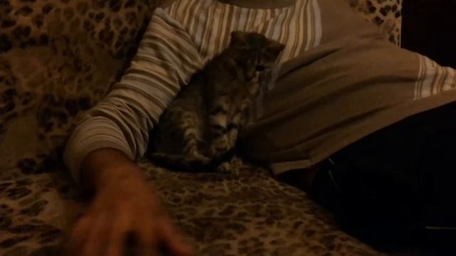 Siska/Сиска смотреть онлайн