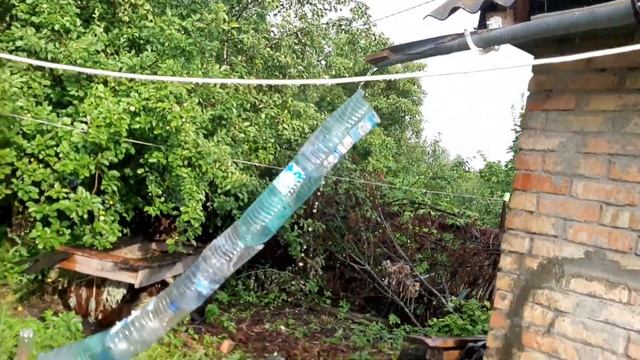 бегаю в трусах смотреть онлайн