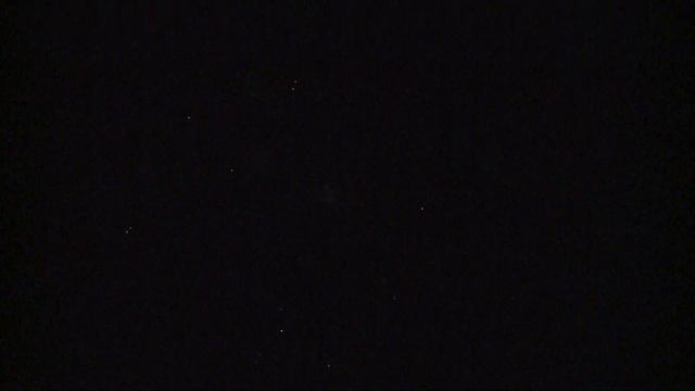 No  458 Brocade Pine To Silver Bees With Blue Pistil