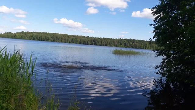 Вот такое вот хреновое лето смотреть онлайн