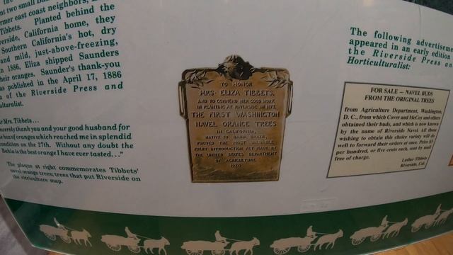 Where did Citrus Fruit Come from ? How did it Get California ? Citrus State Park Riverside смотреть онлайн